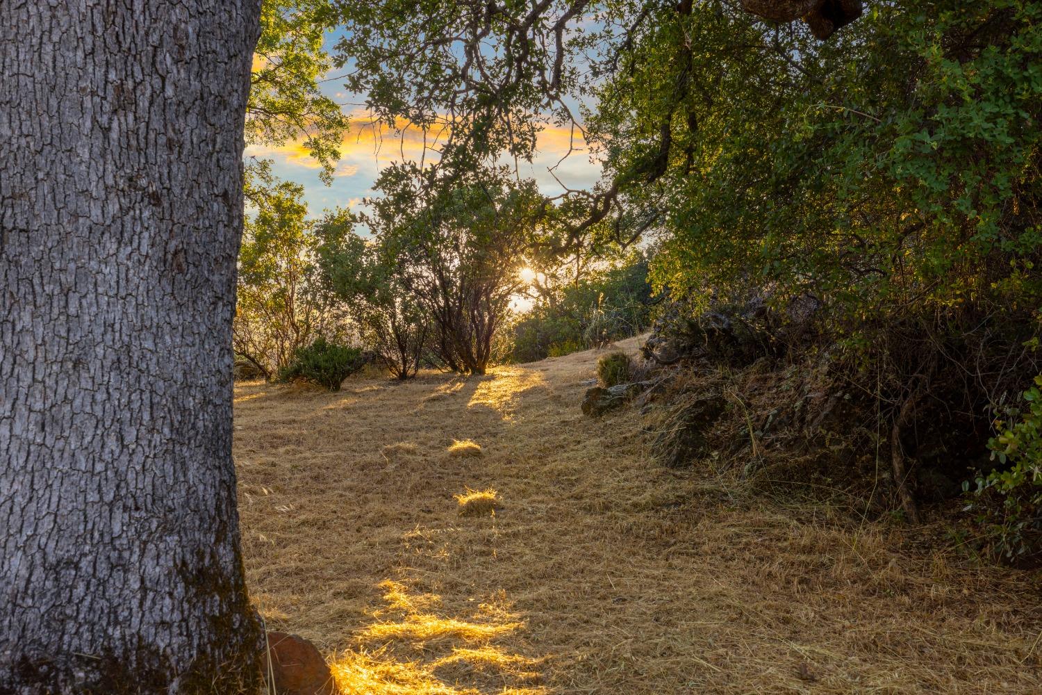 3620 Castlerock Road