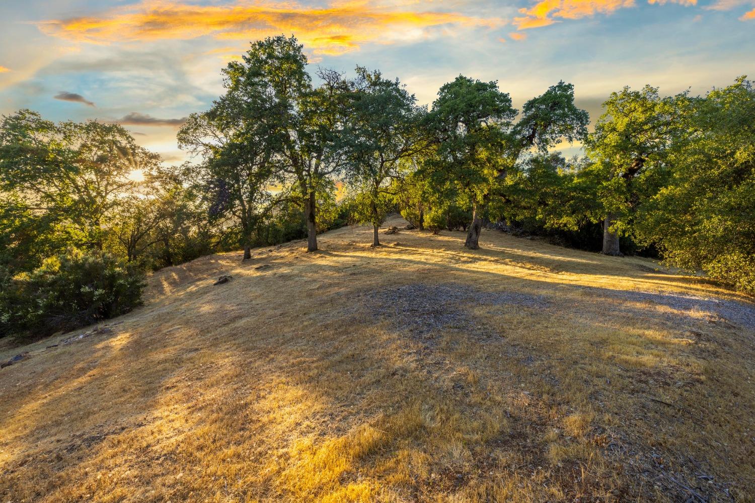 3620 Castlerock Road