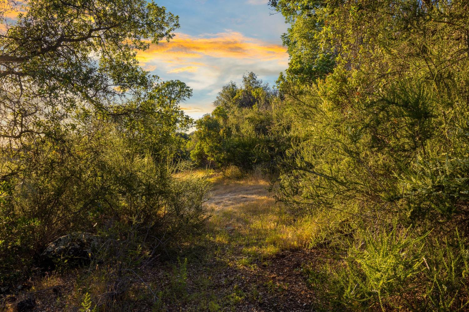 3620 Castlerock Road