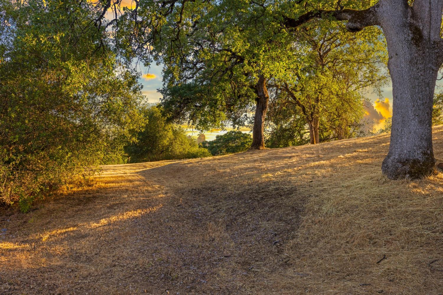 3620 Castlerock Road