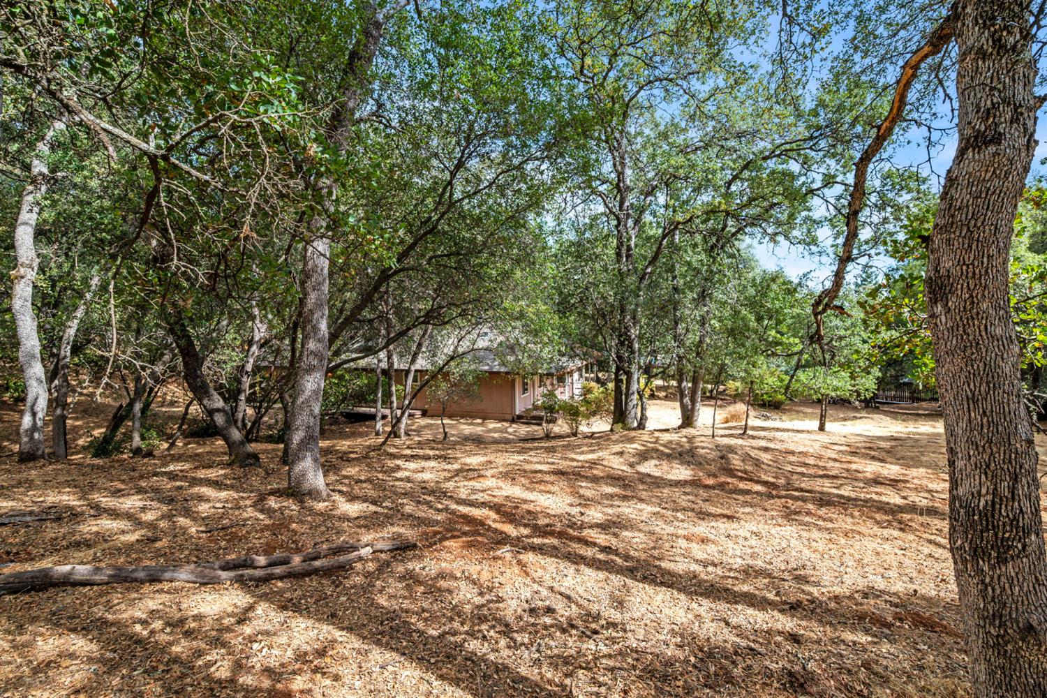 6321 Zamora Drive
