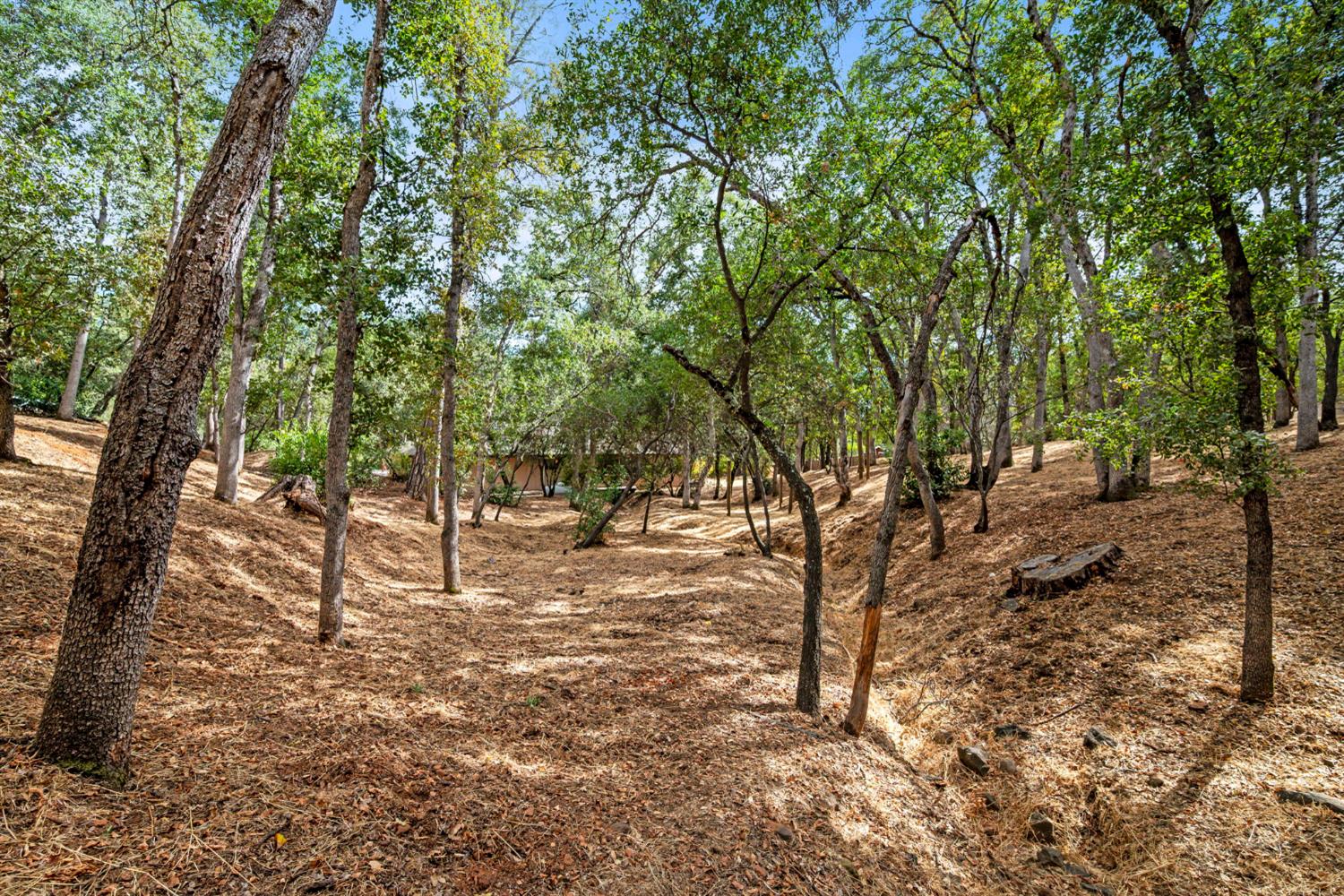 6321 Zamora Drive