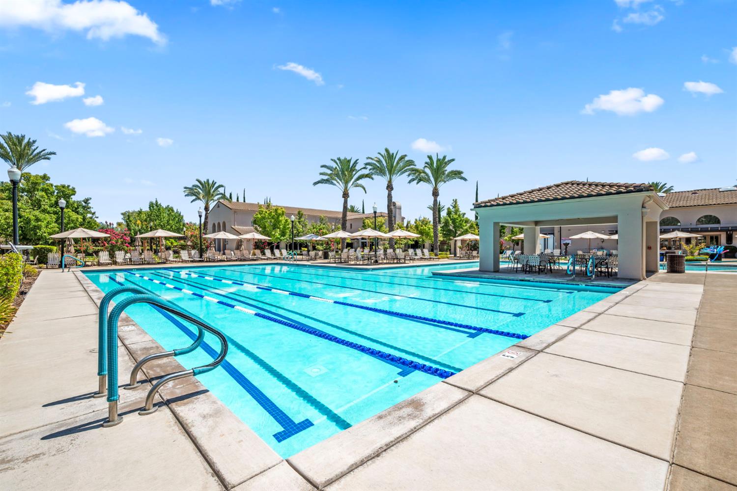 2381 Rose Arbor Drive
