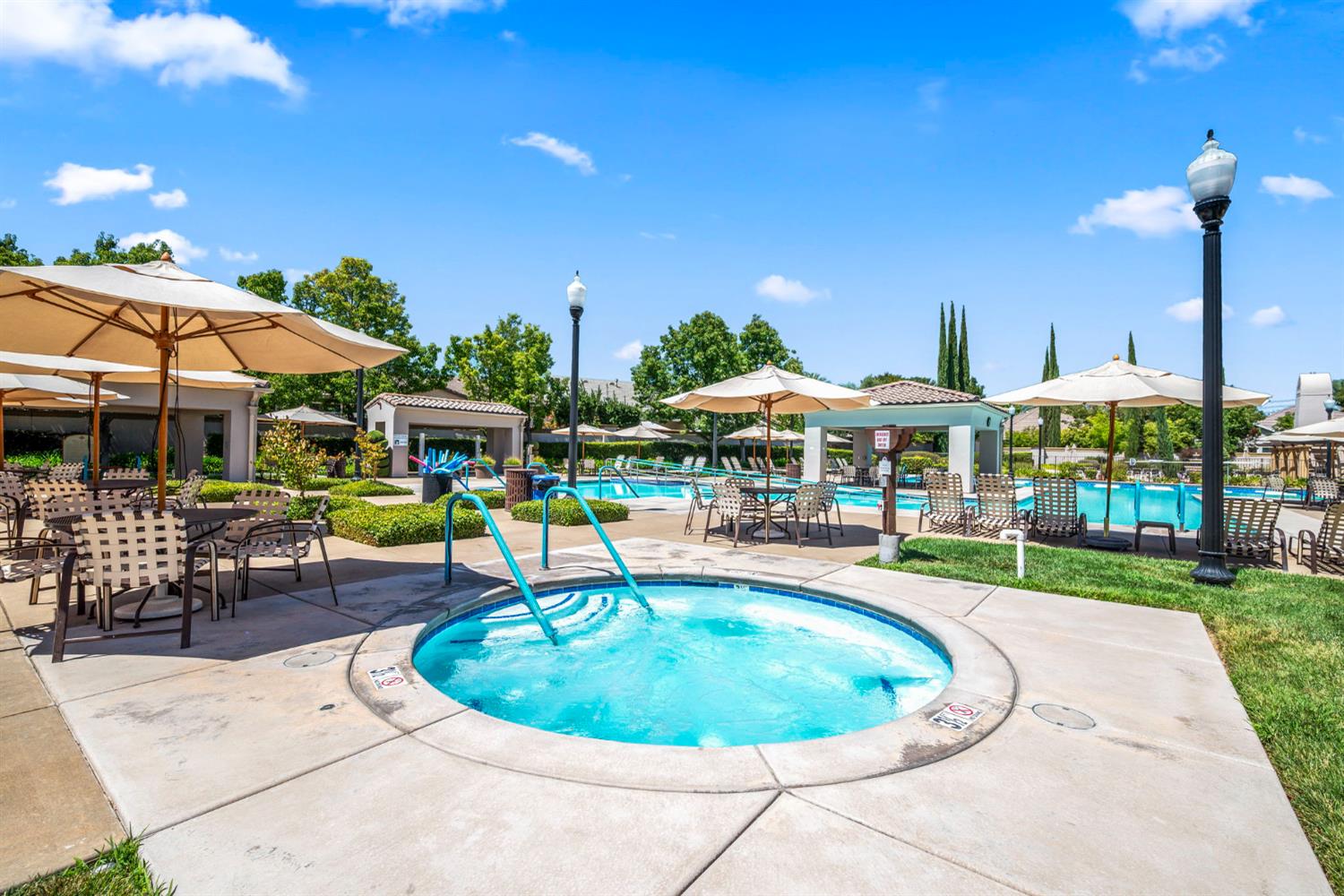 2381 Rose Arbor Drive