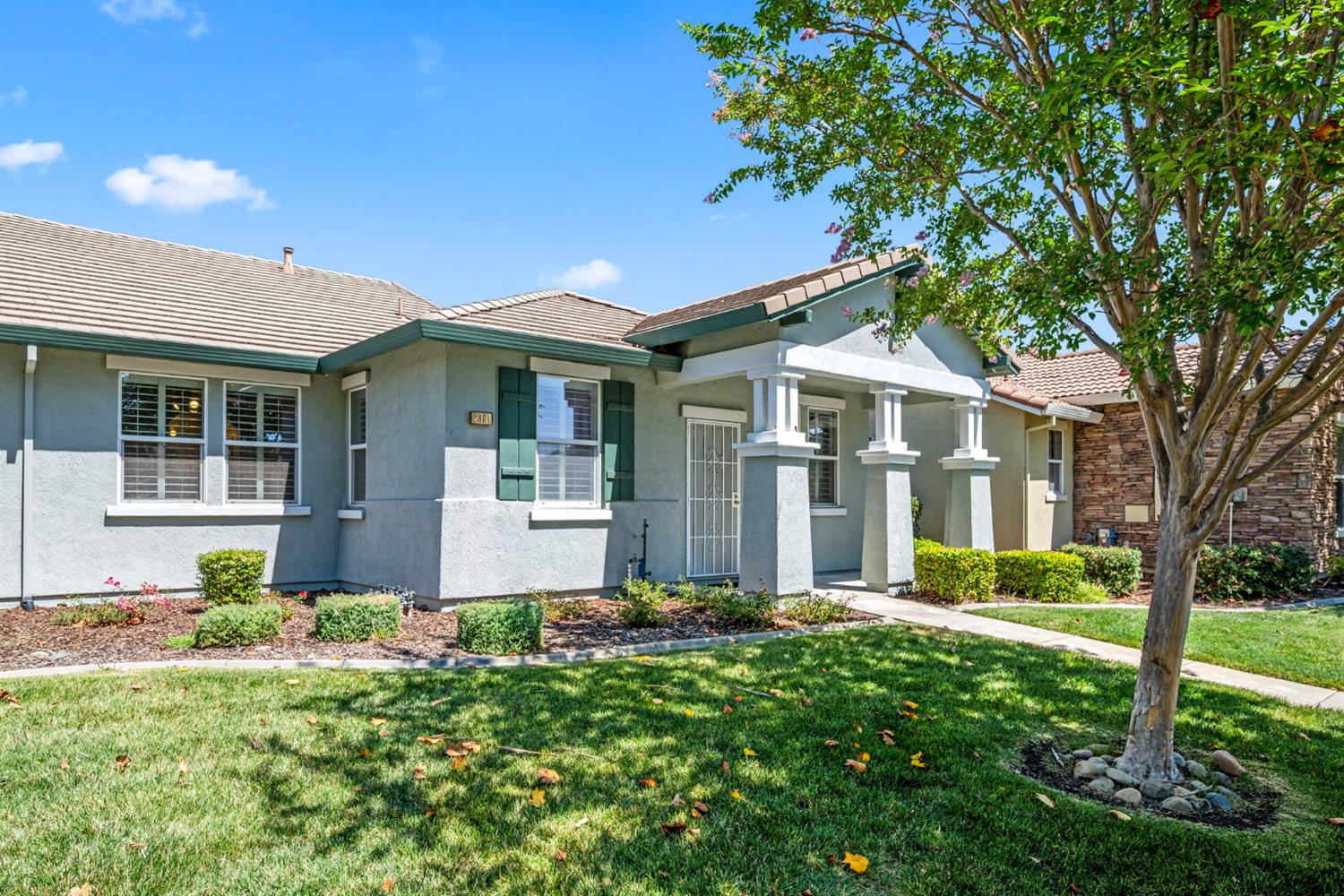 2381 Rose Arbor Drive