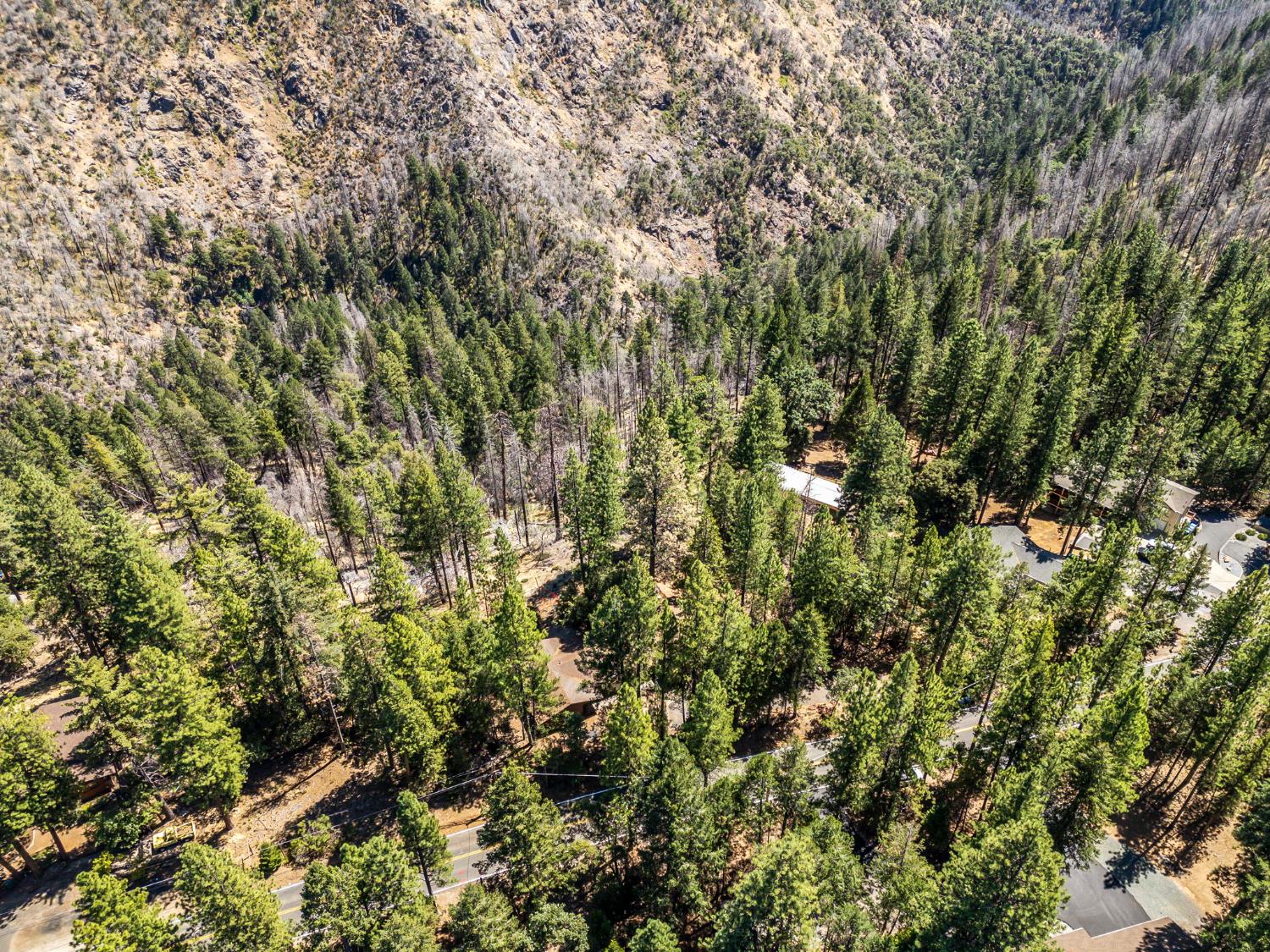 5925 Sly Park Road