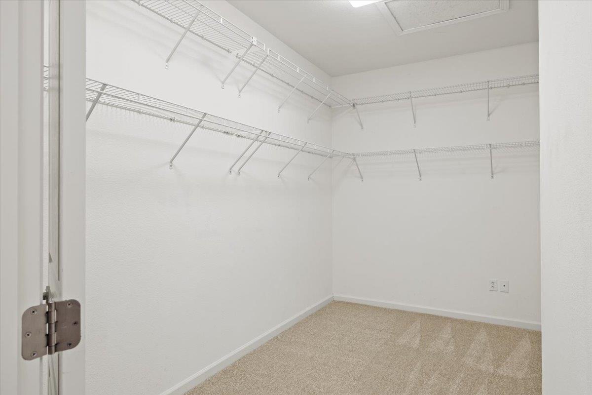 1613 Avian Hill Place