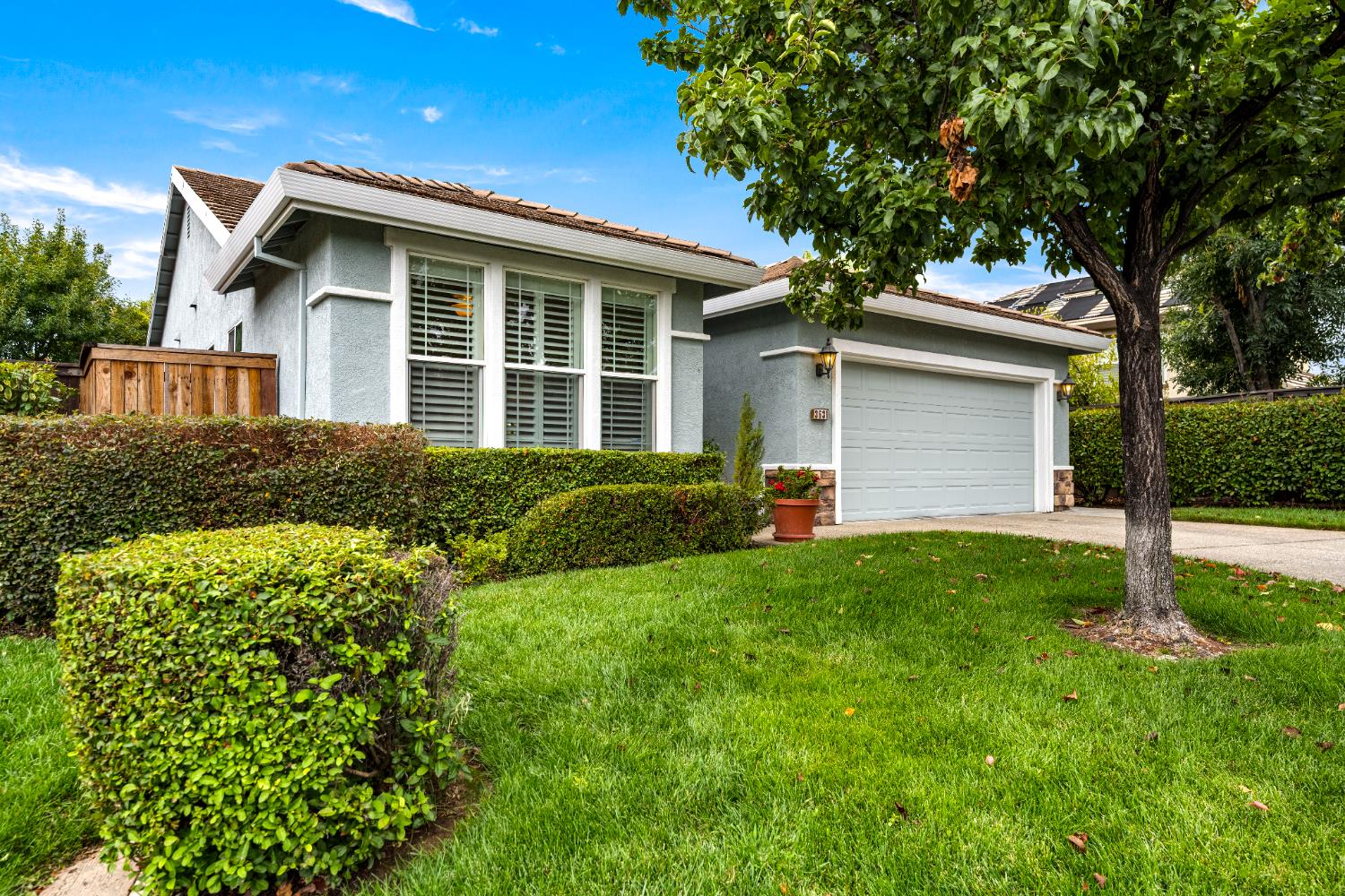 3631 Brighton Court