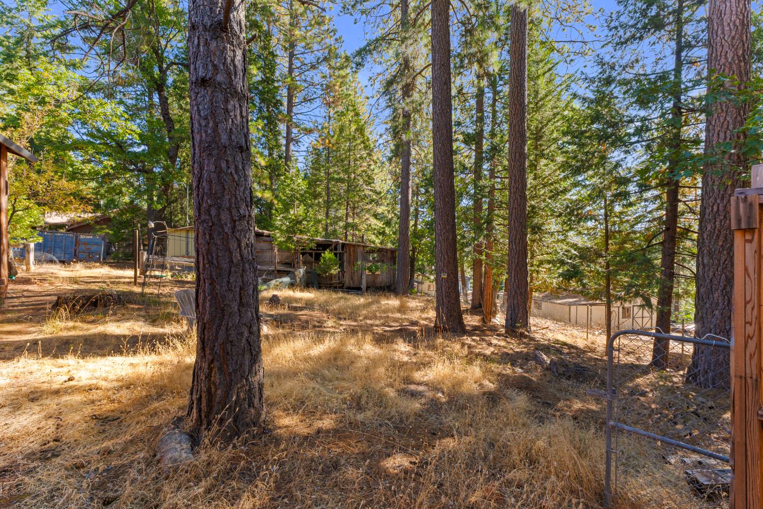 5983 Sly Park Road