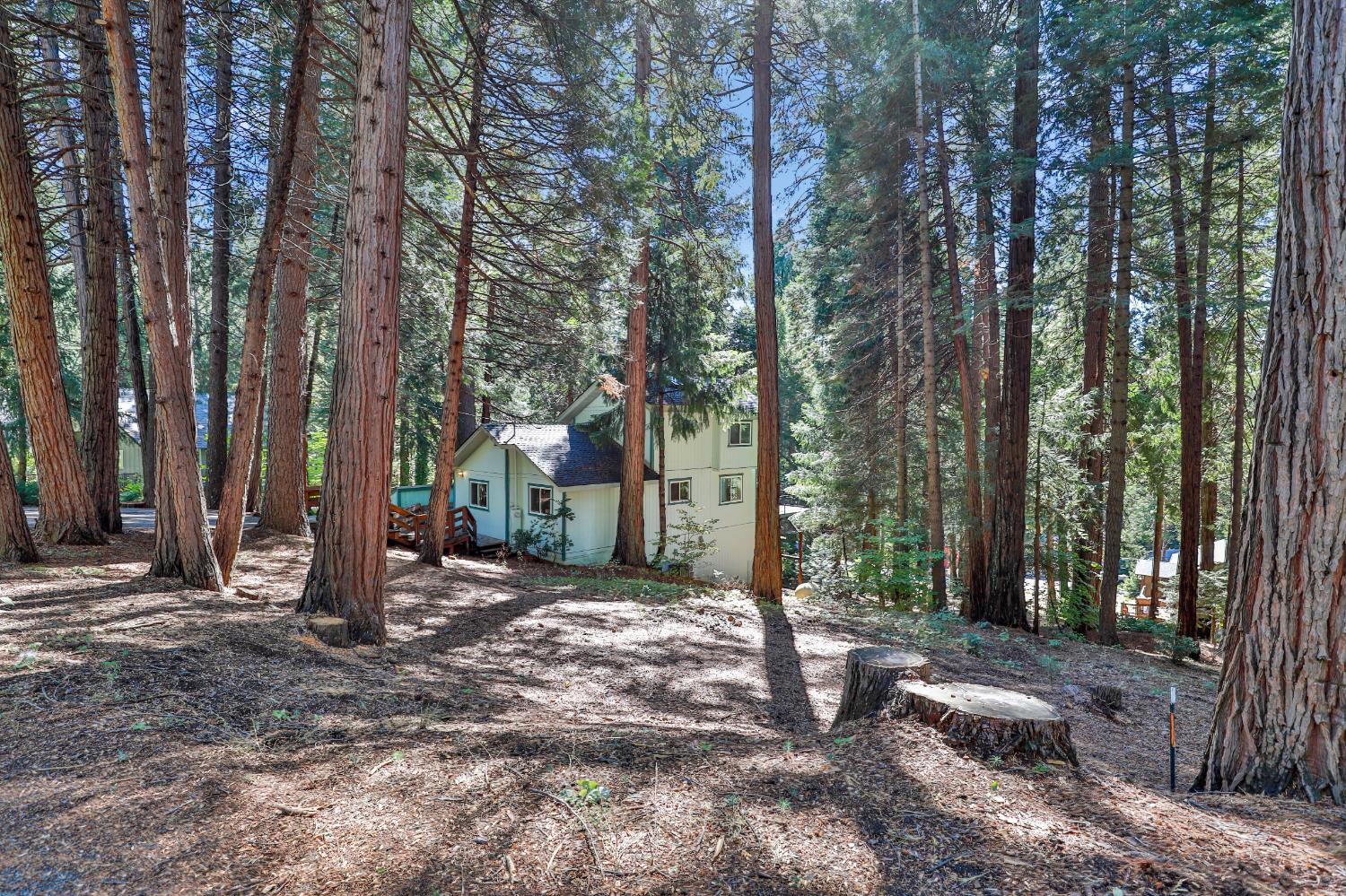 3336 Hazel Street