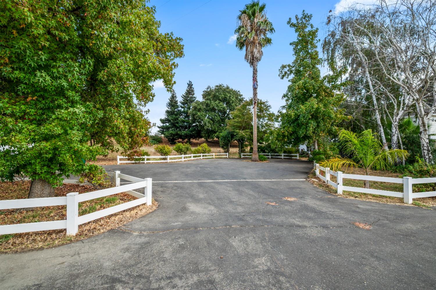 14310 State Highway 160