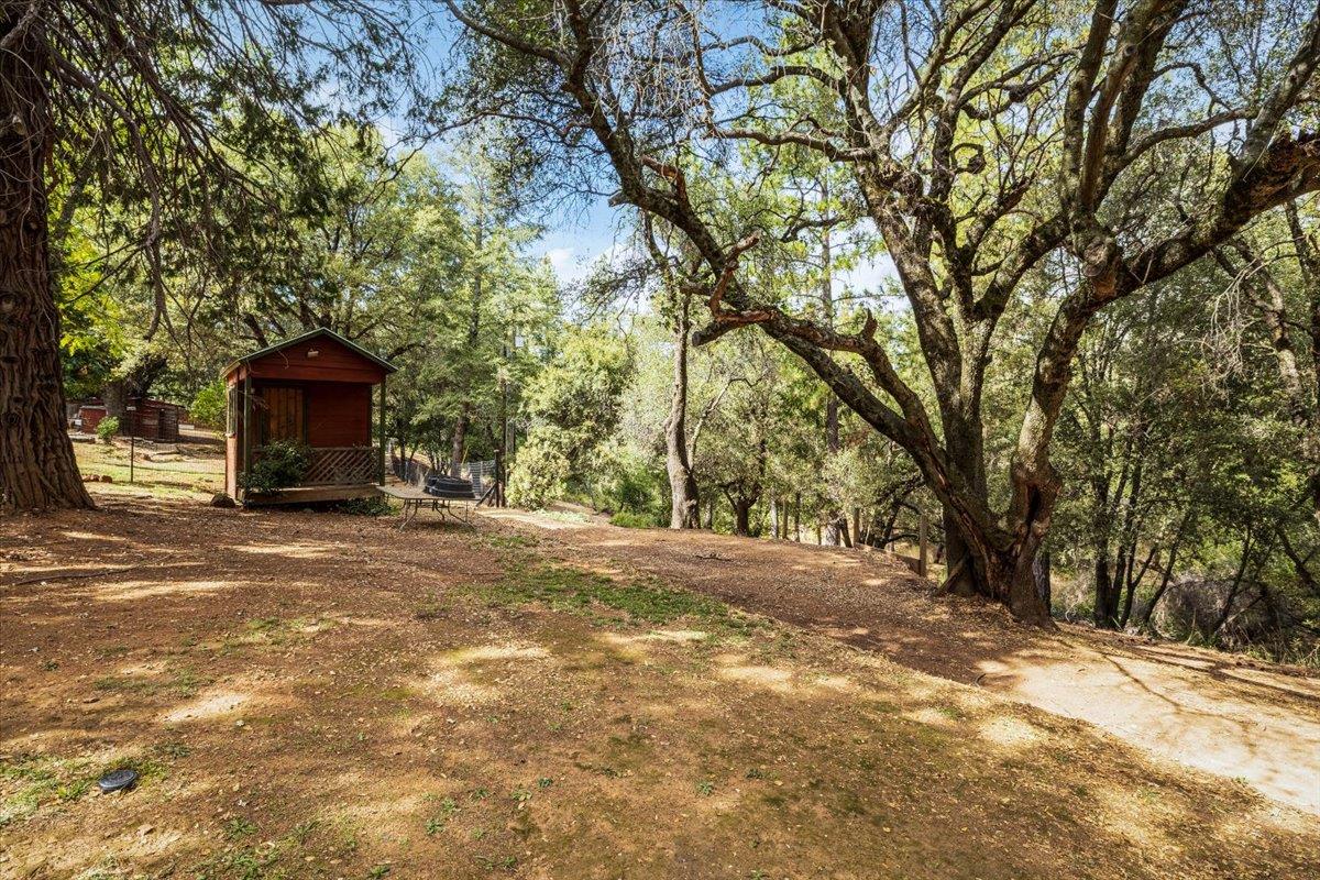 8681 State Highway 193