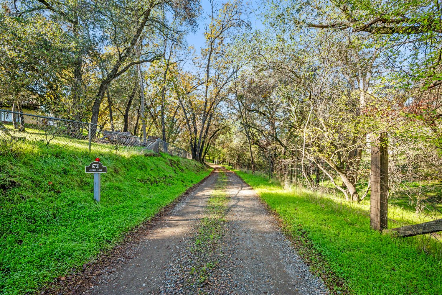 6731 Juniper Lane