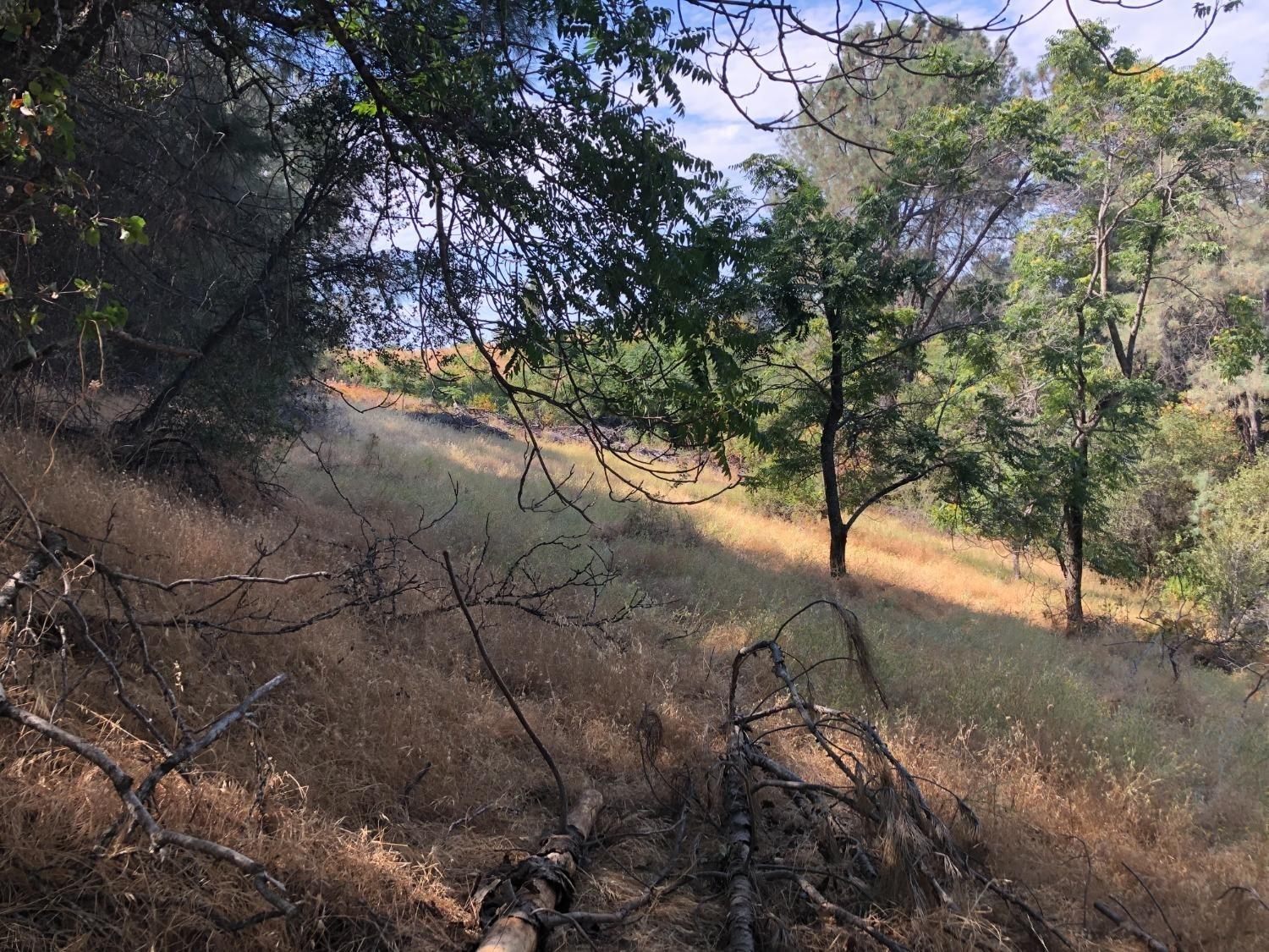 3075 Gold Nugget Way