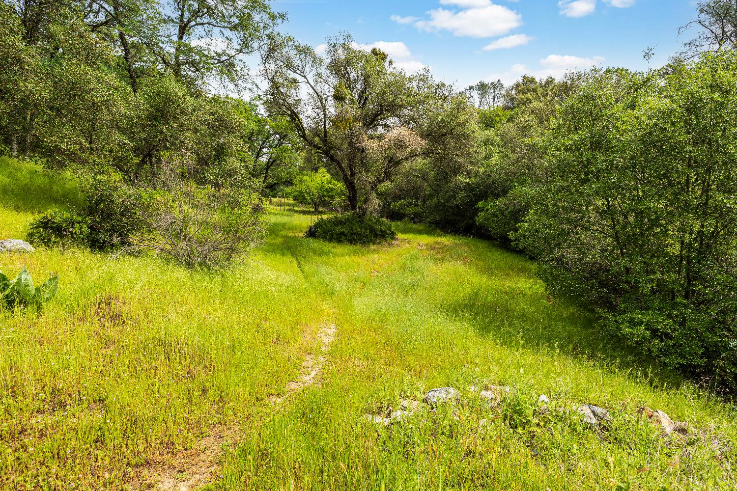 1608 Good Pasture Court