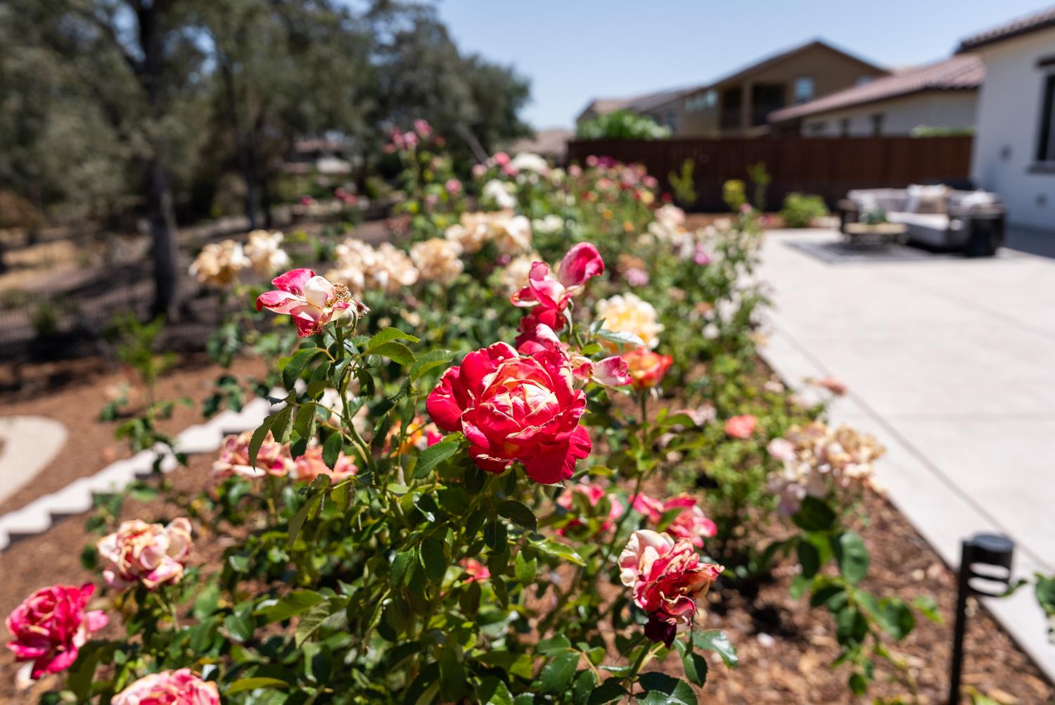 7017 Benevento Drive