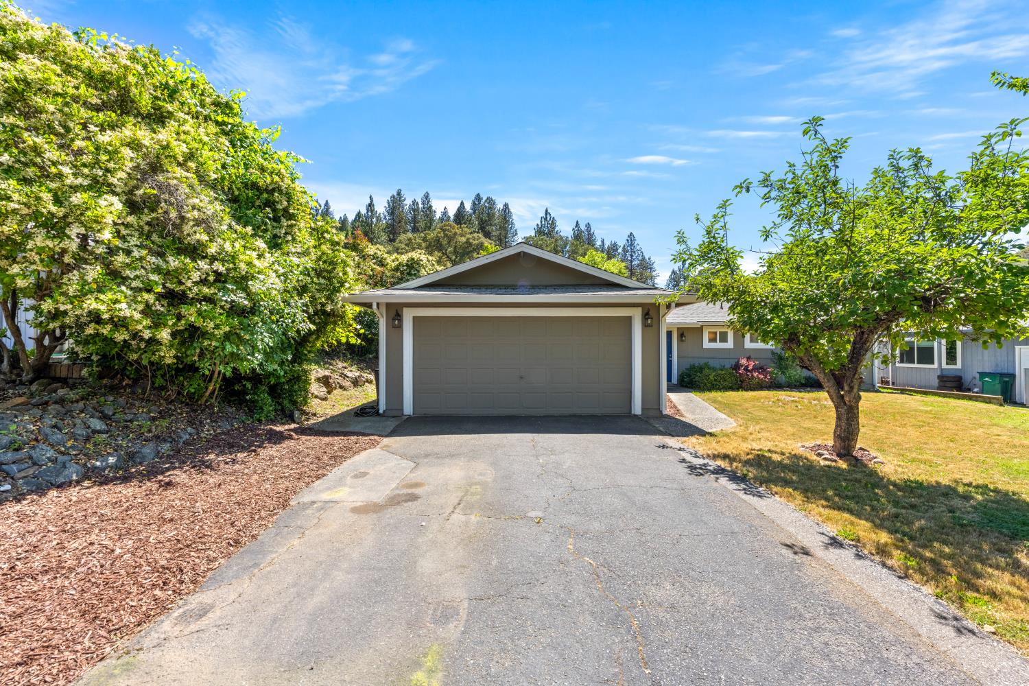 13806 Torrey Pines Drive