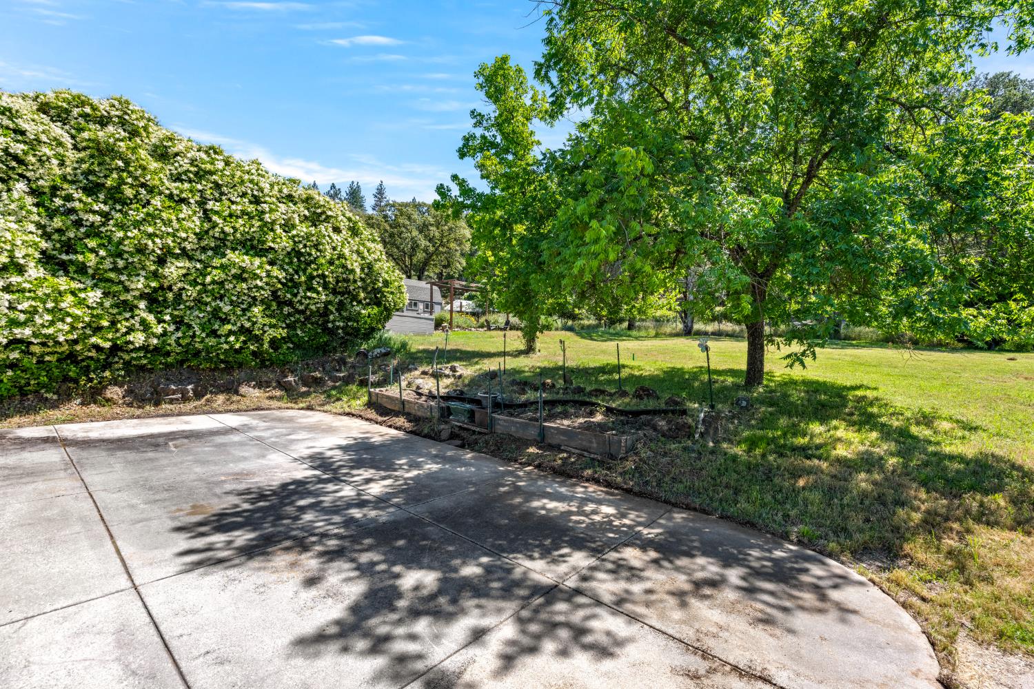 13806 Torrey Pines Drive