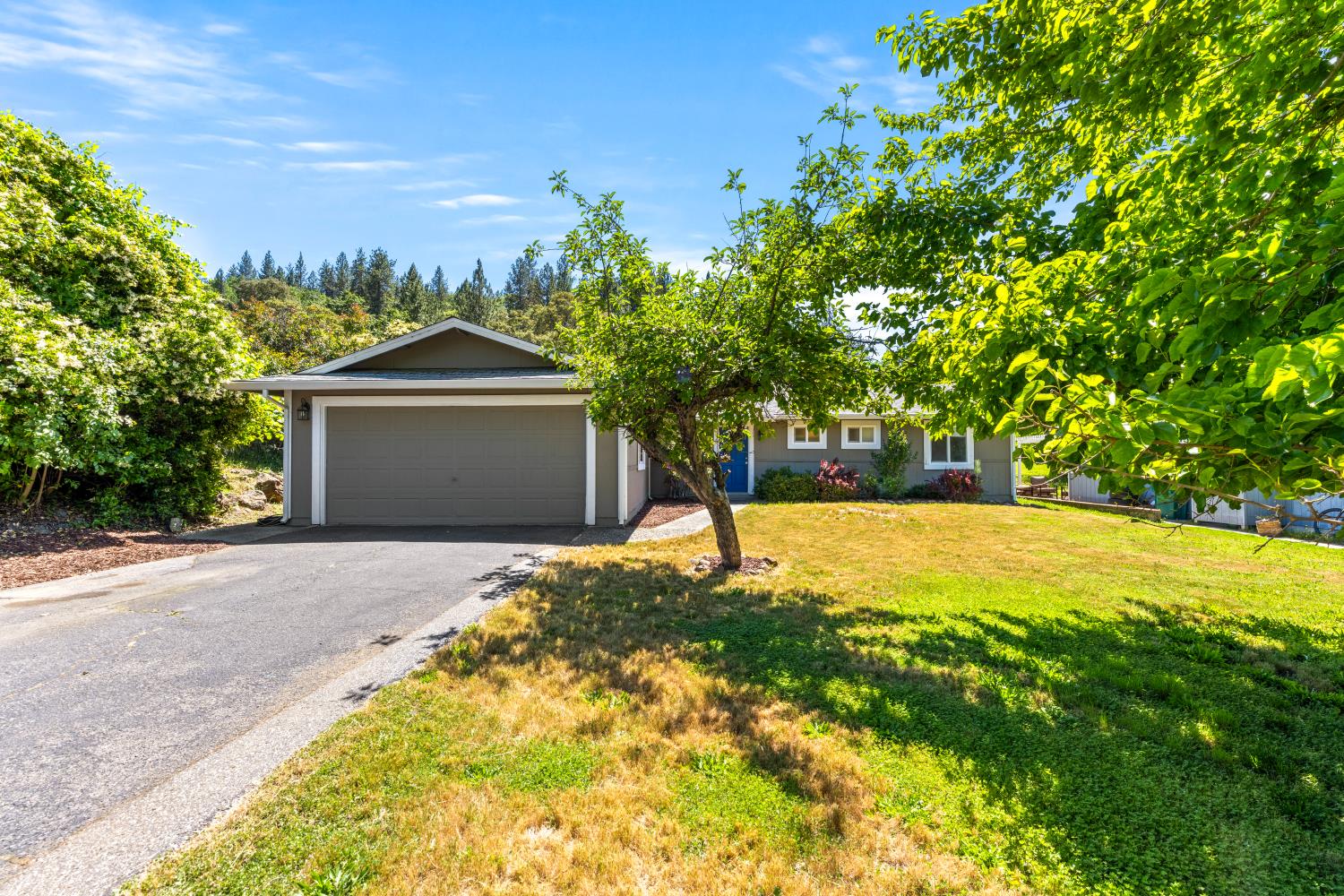 13806 Torrey Pines Drive