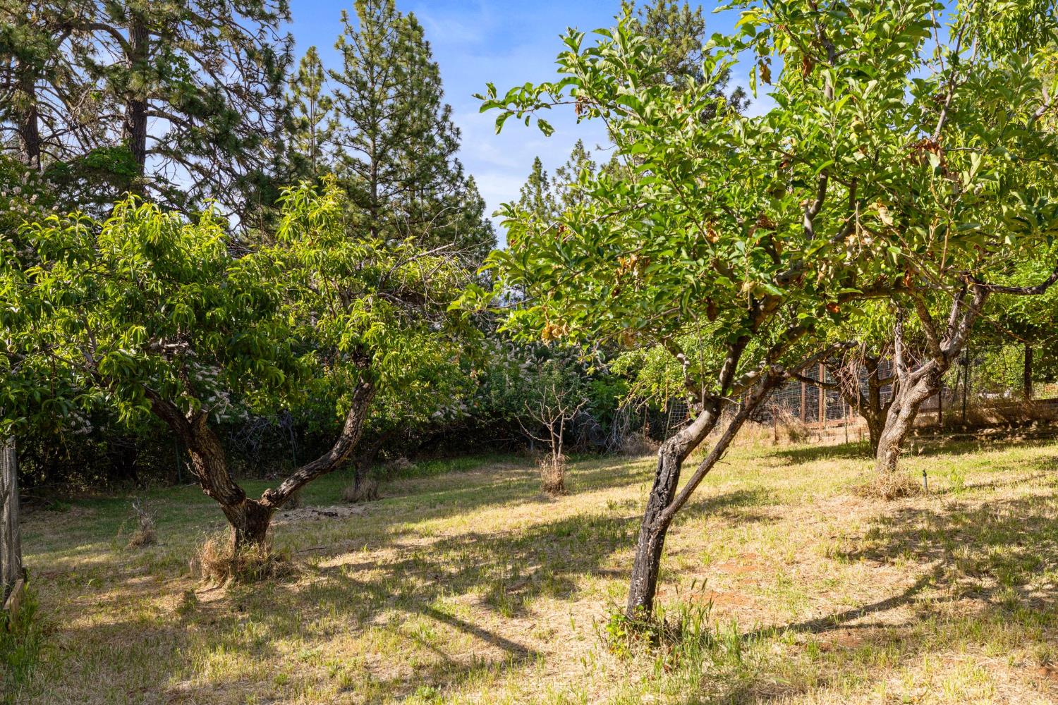 9340 Mosquito Road