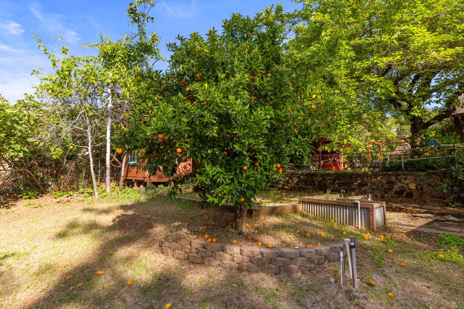9340 Mosquito Road