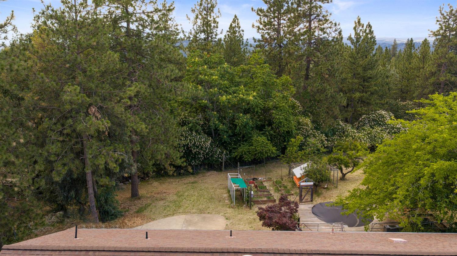 9340 Mosquito Road