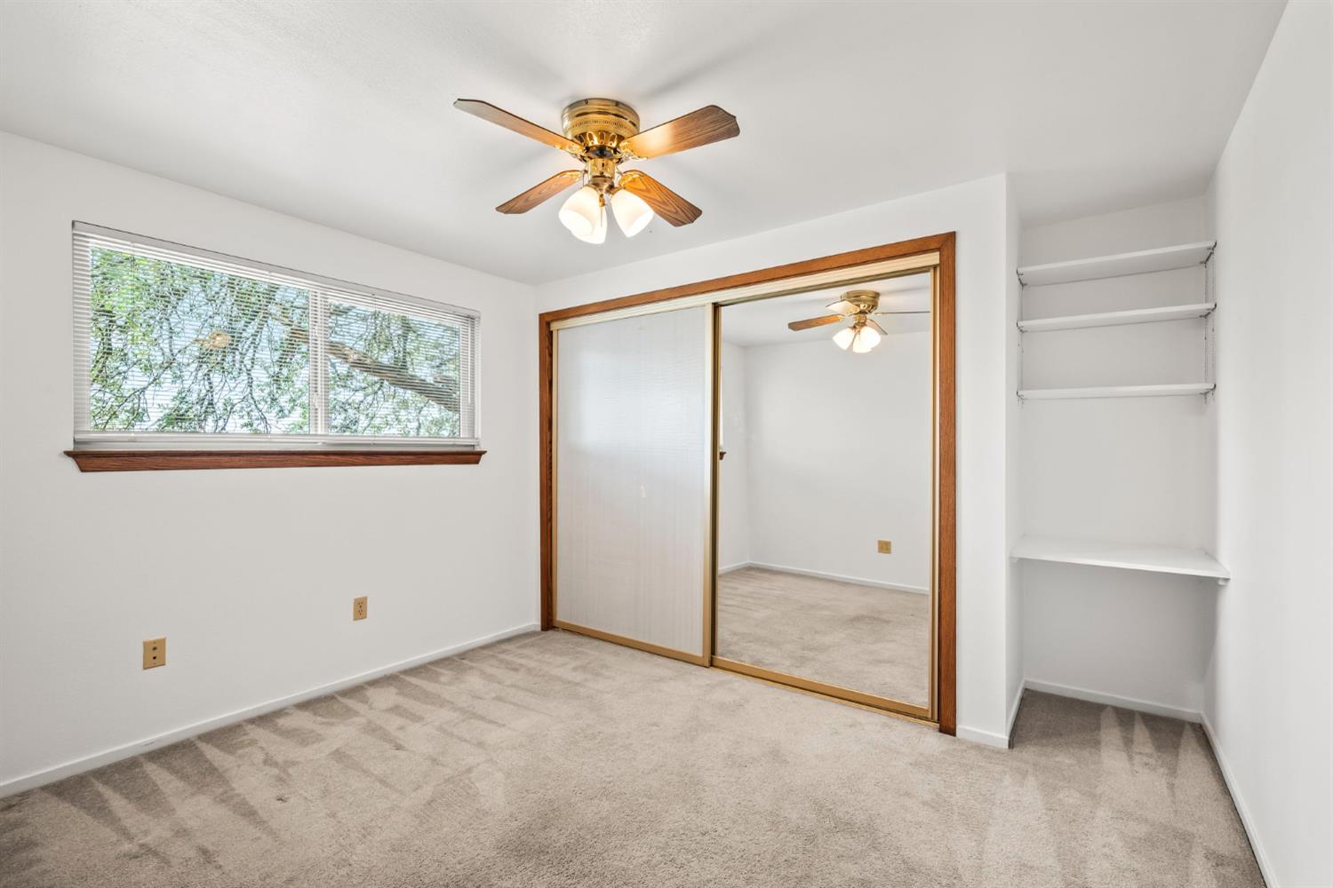 3700 Springer Road