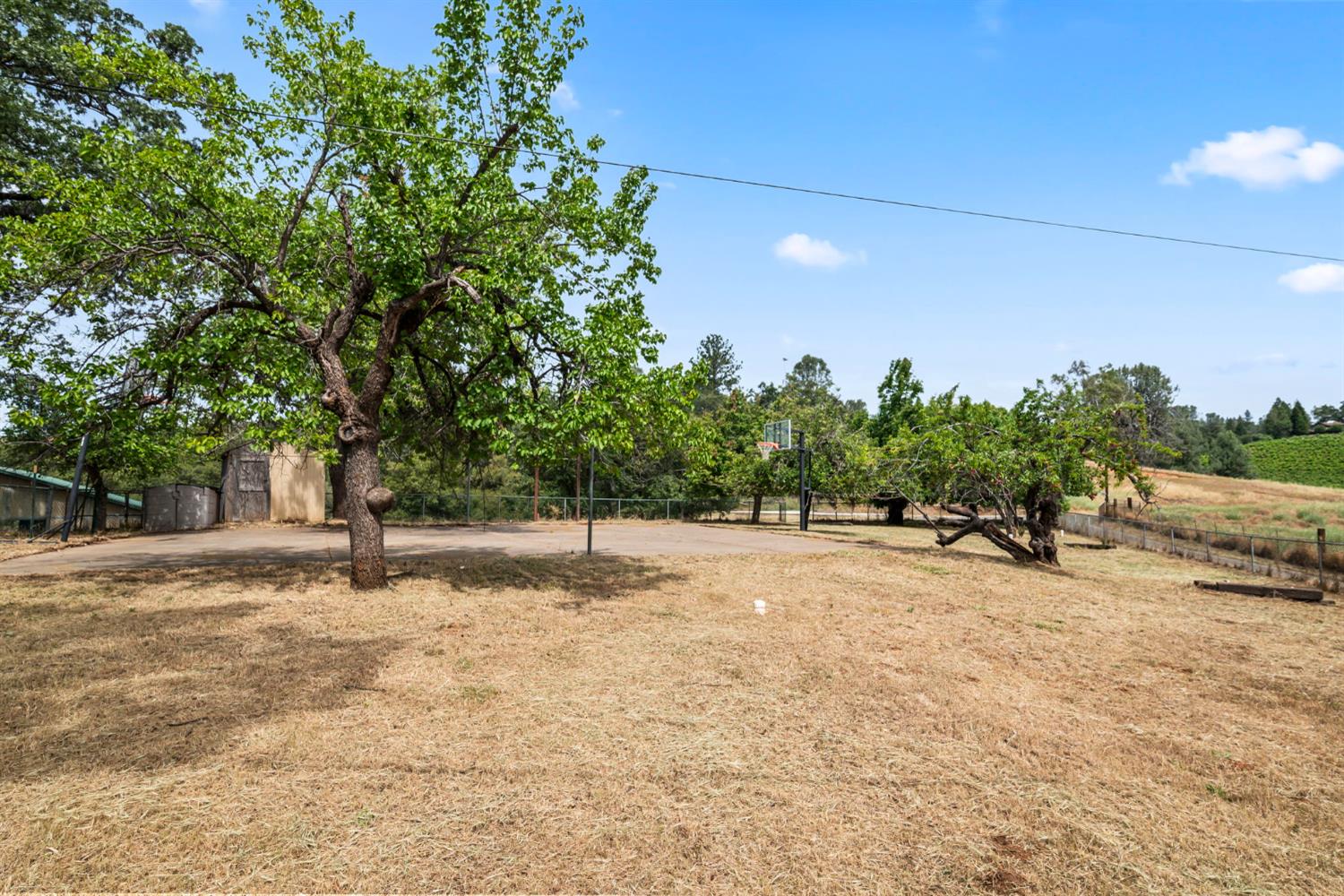 3700 Springer Road