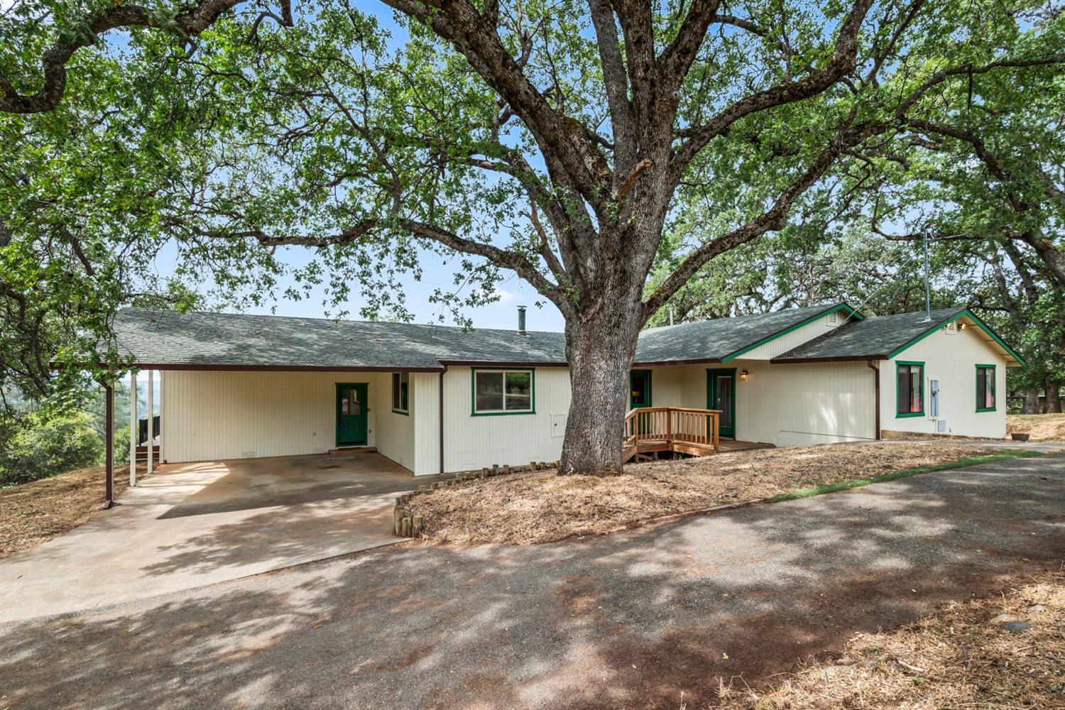 3700 Springer Road