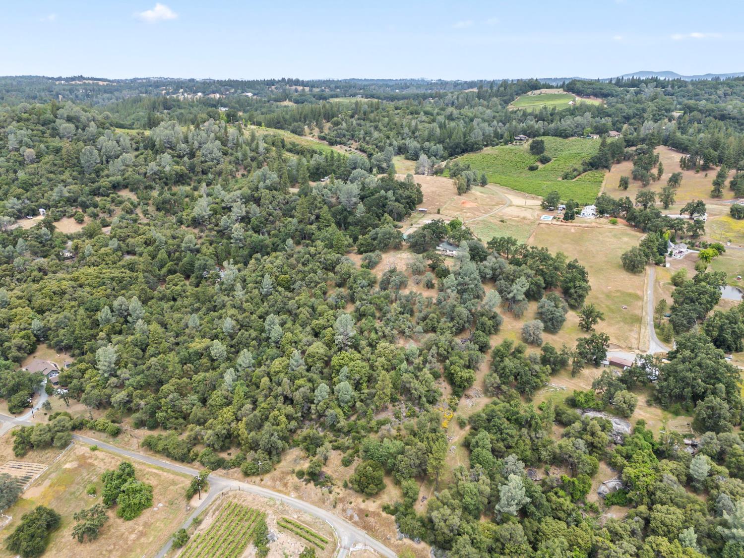 3700 Springer Road