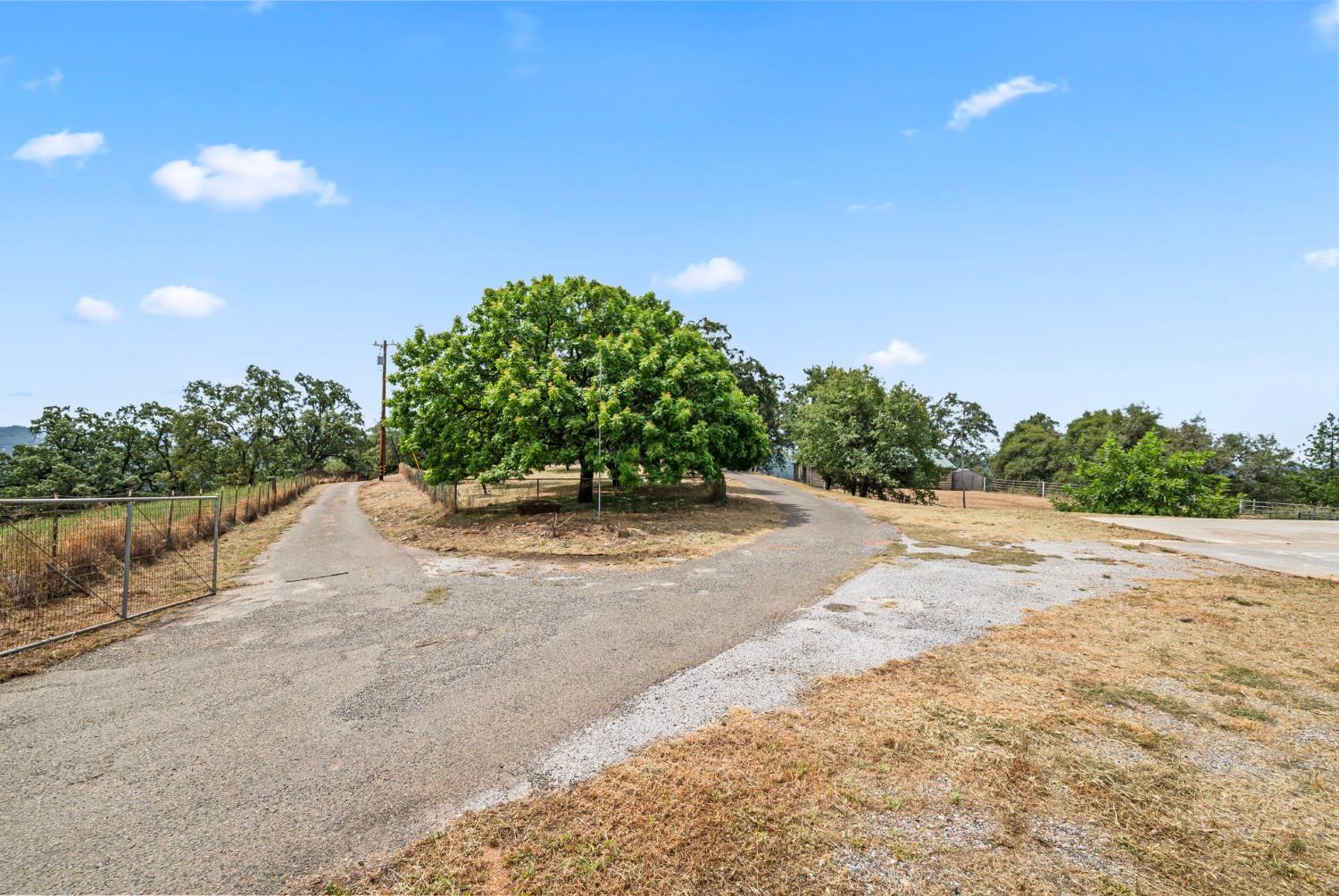 3700 Springer Road
