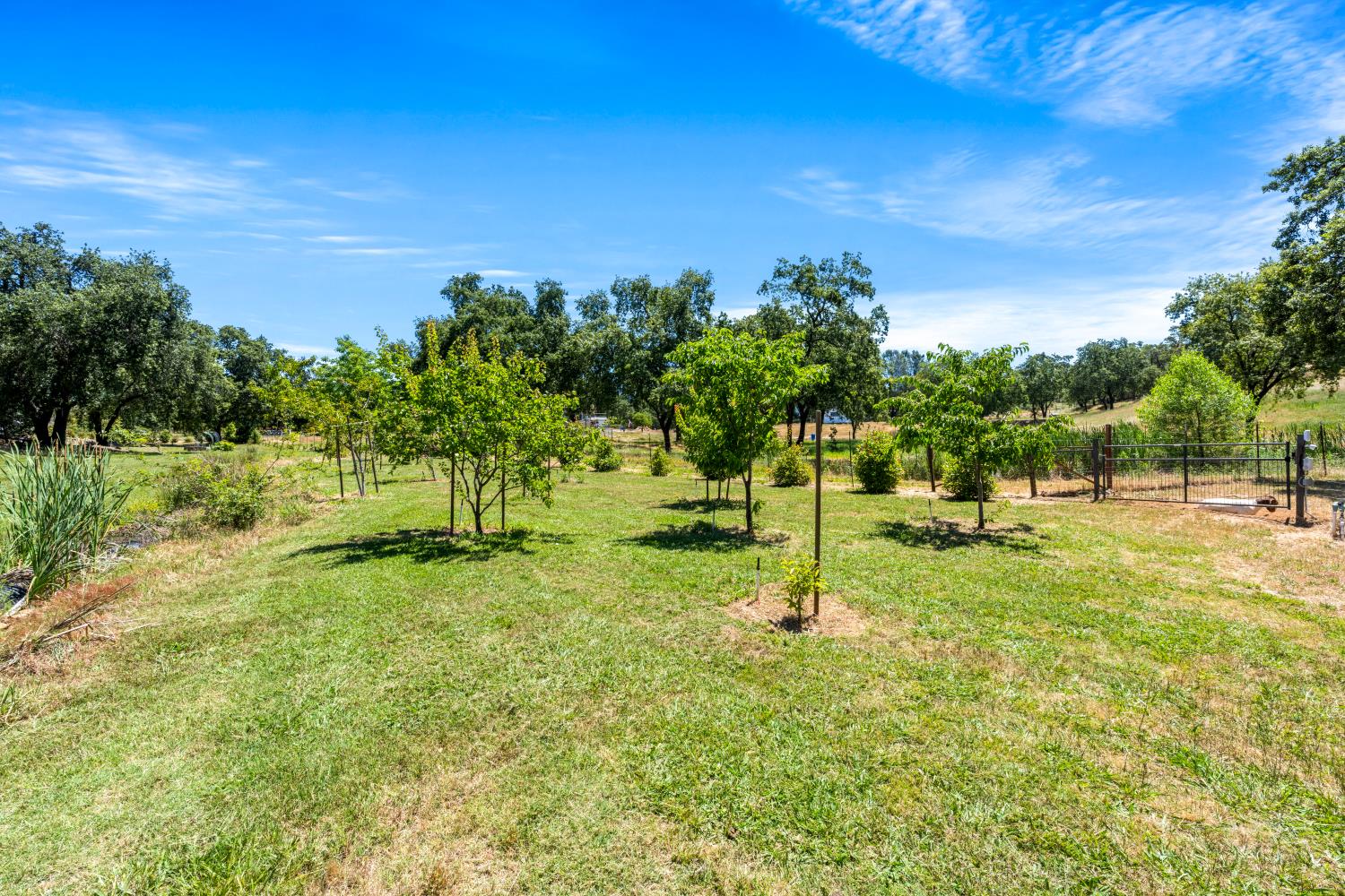 2295 Moran Court