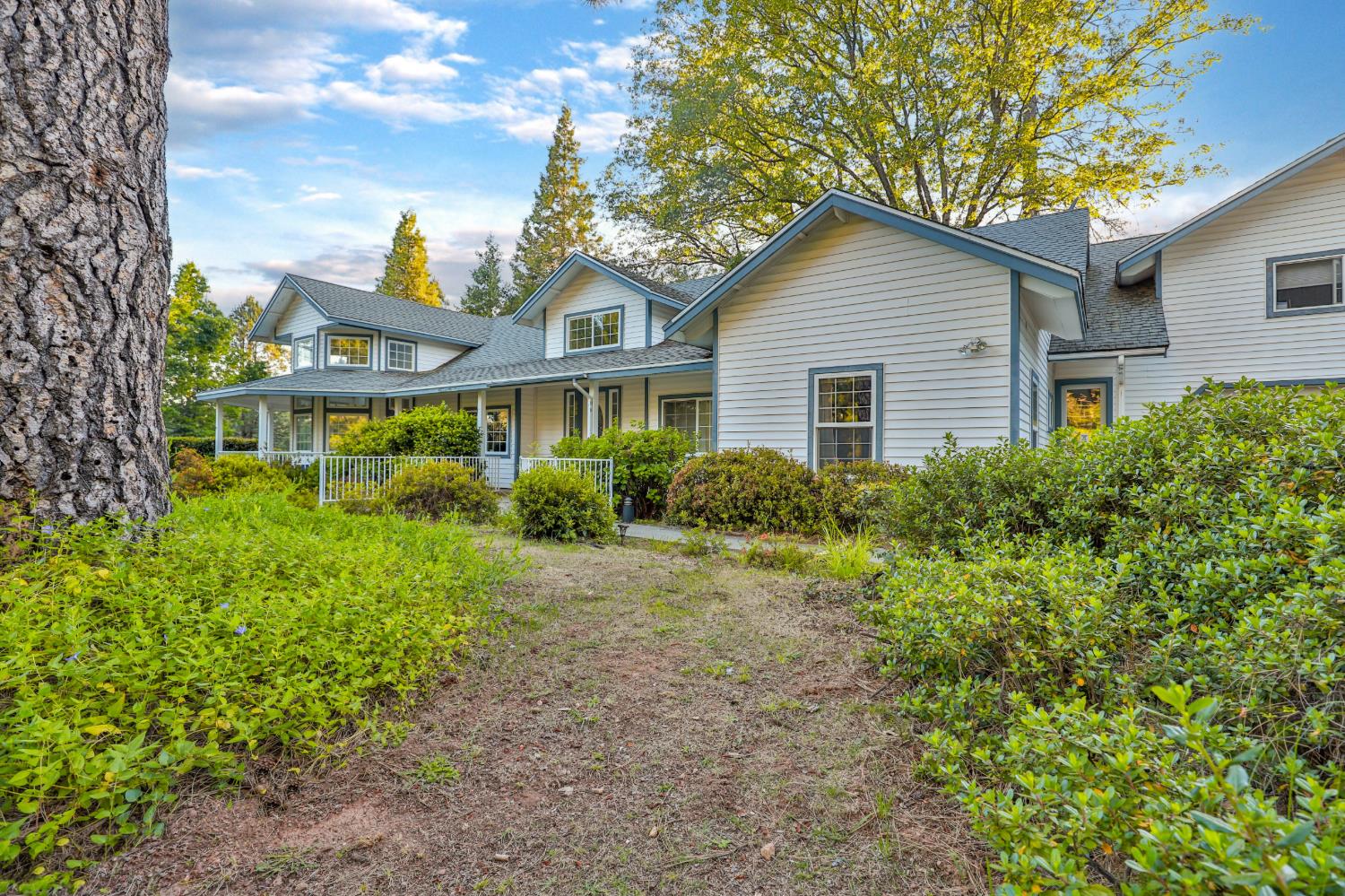 3333 Bingham Lane