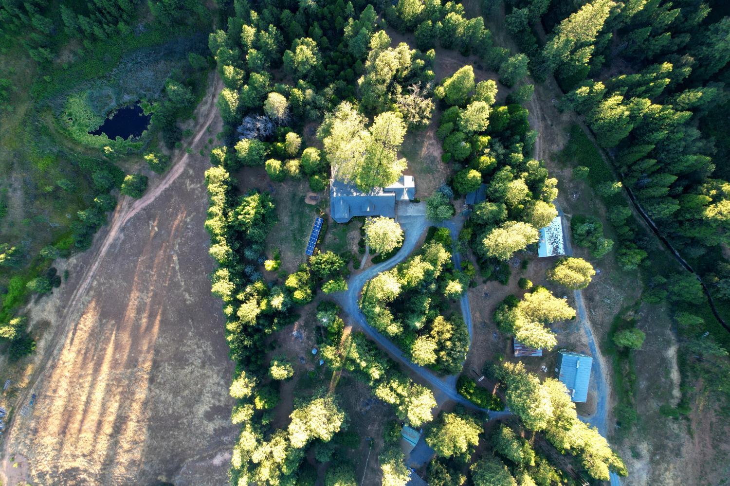3333 Bingham Lane