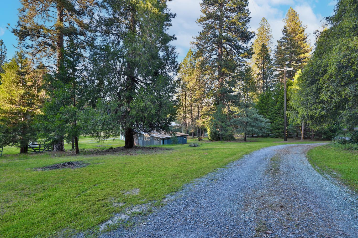 3333 Bingham Lane