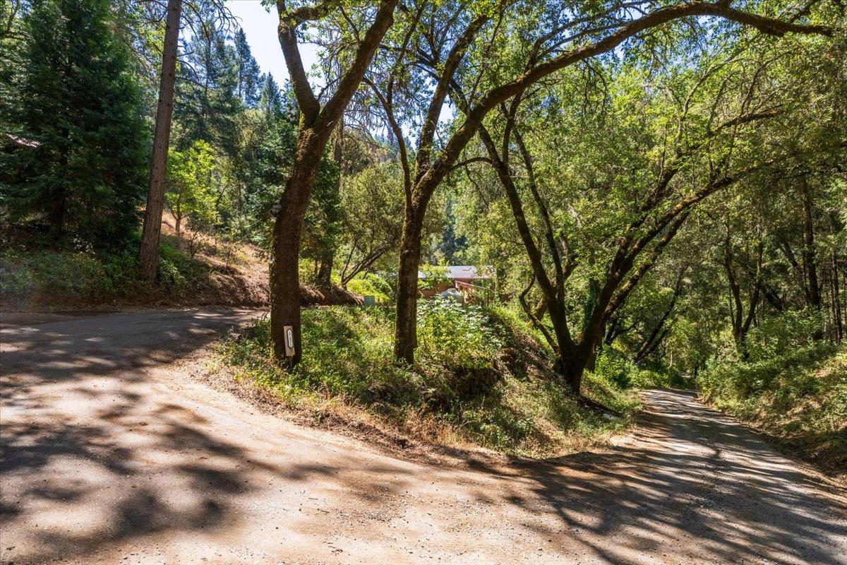 17431 Sutter Creek Road