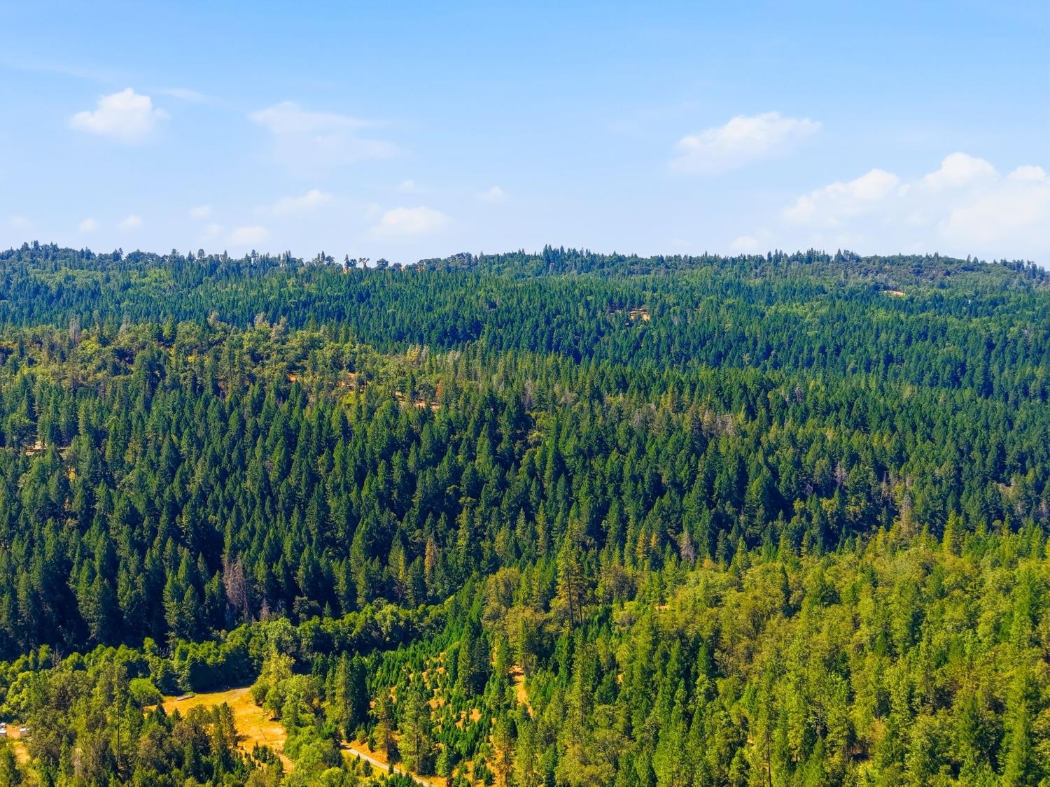 3520 Mining Brook Road