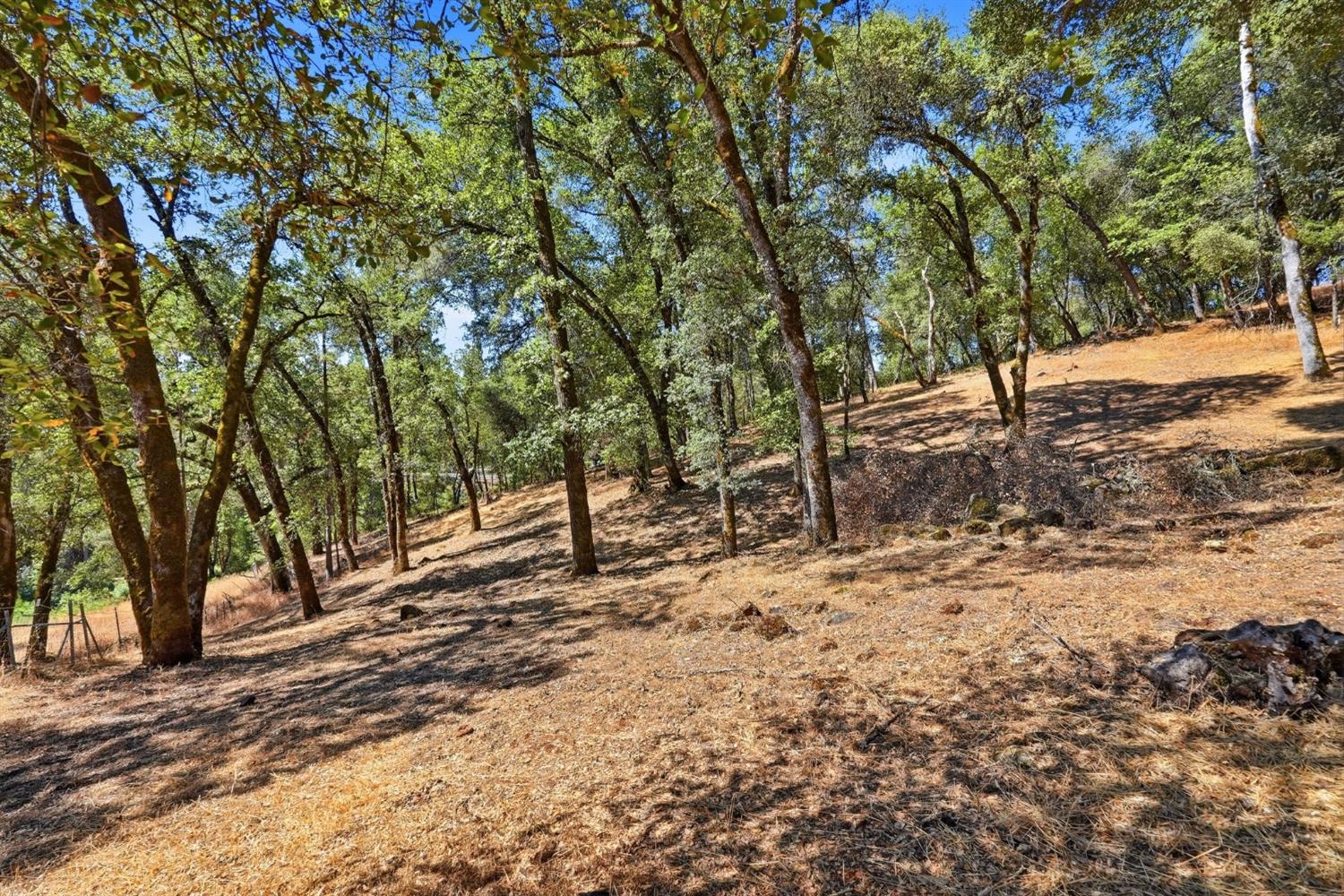 3520 Mining Brook Road