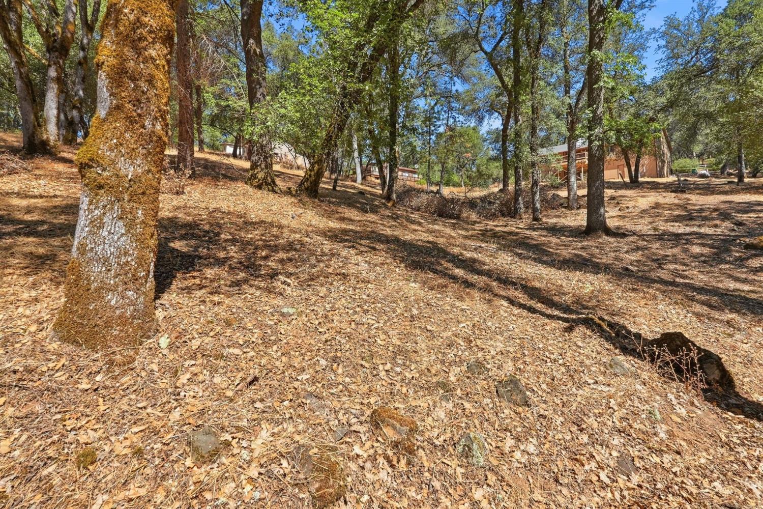 3520 Mining Brook Road