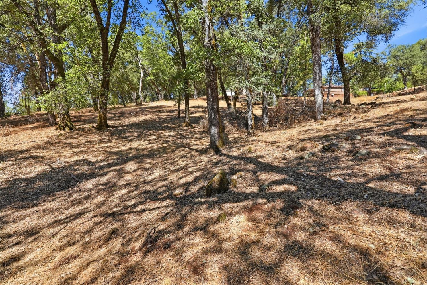 3520 Mining Brook Road