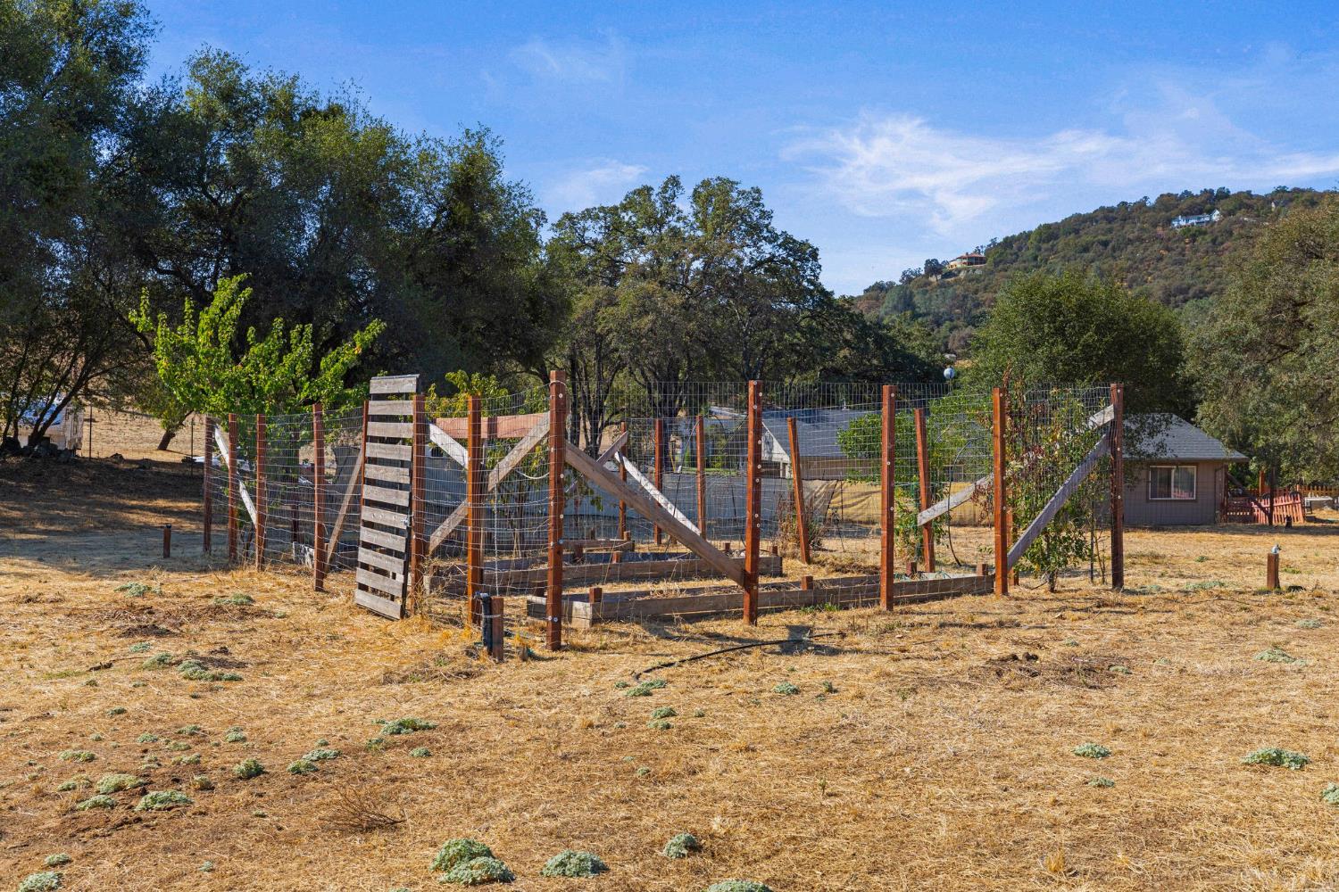 1206 Los Robles Road