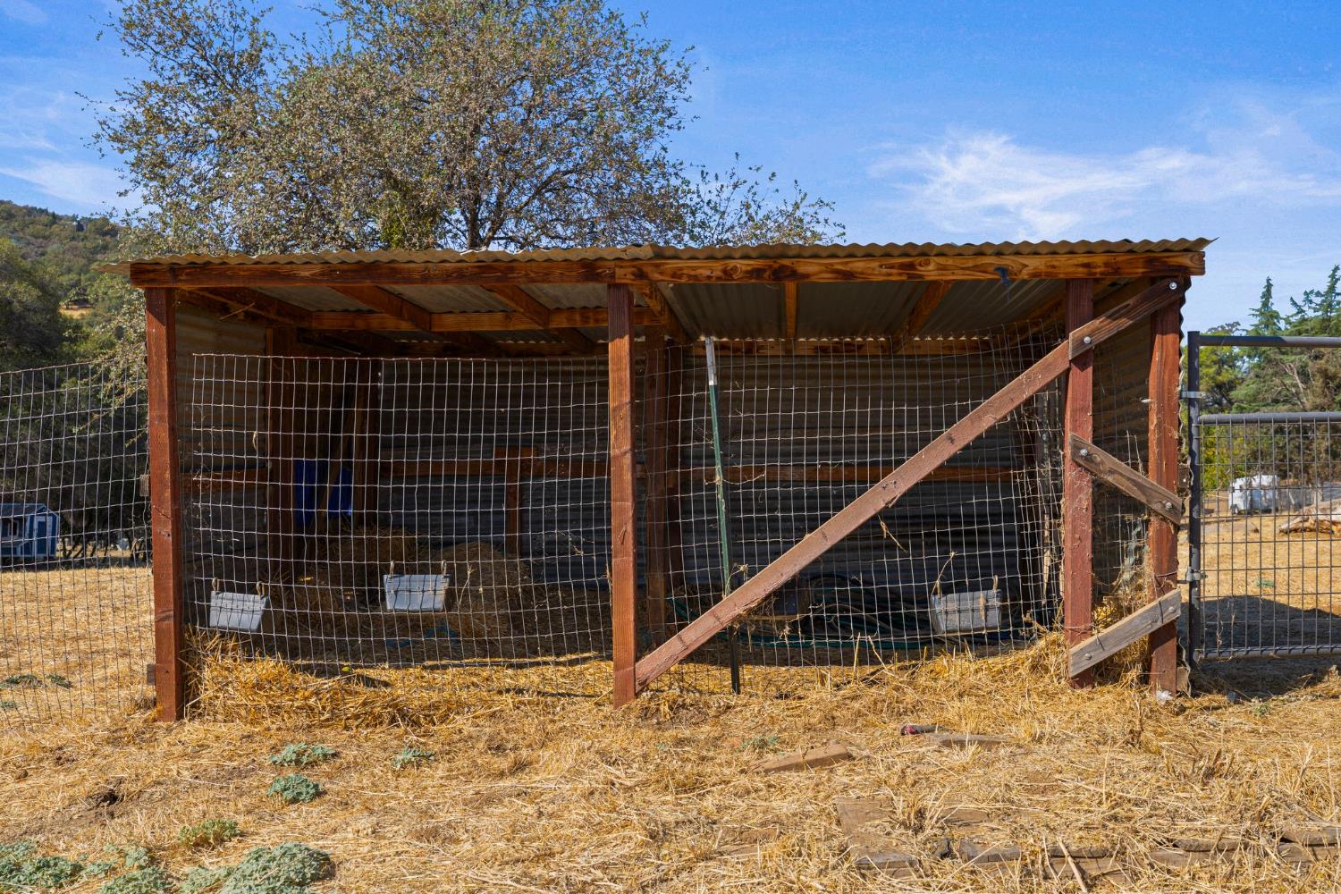 1206 Los Robles Road