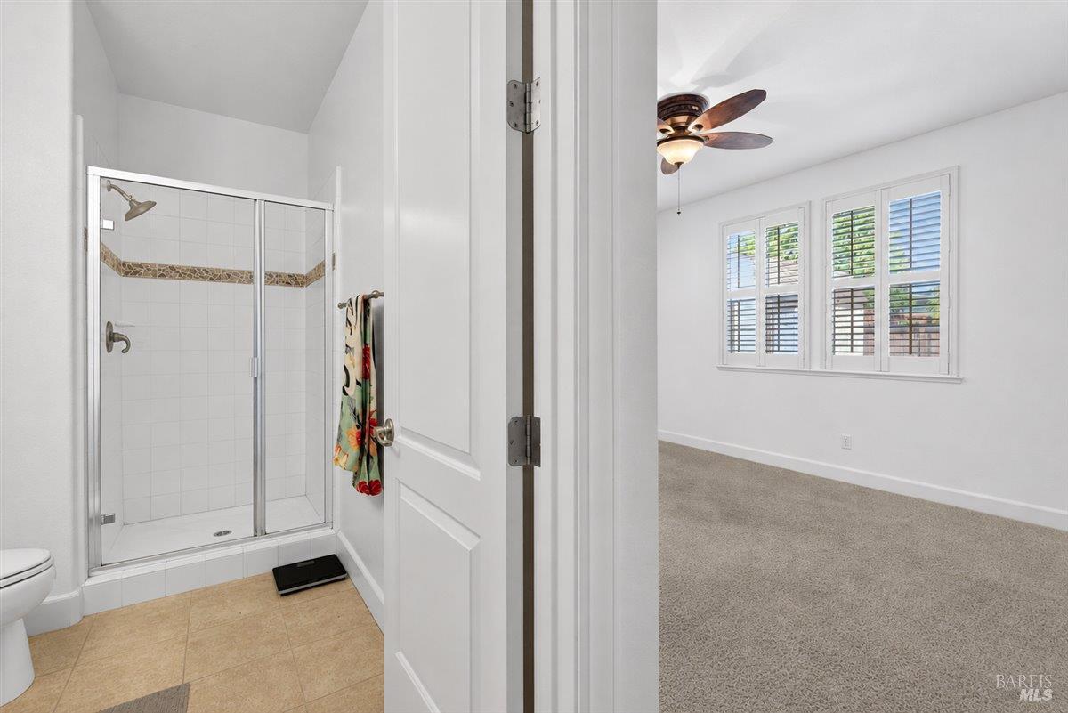 306 Shining Horse Way