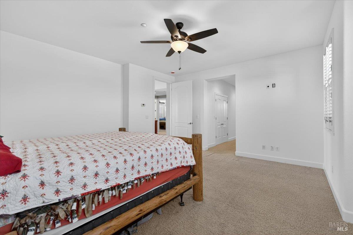 306 Shining Horse Way