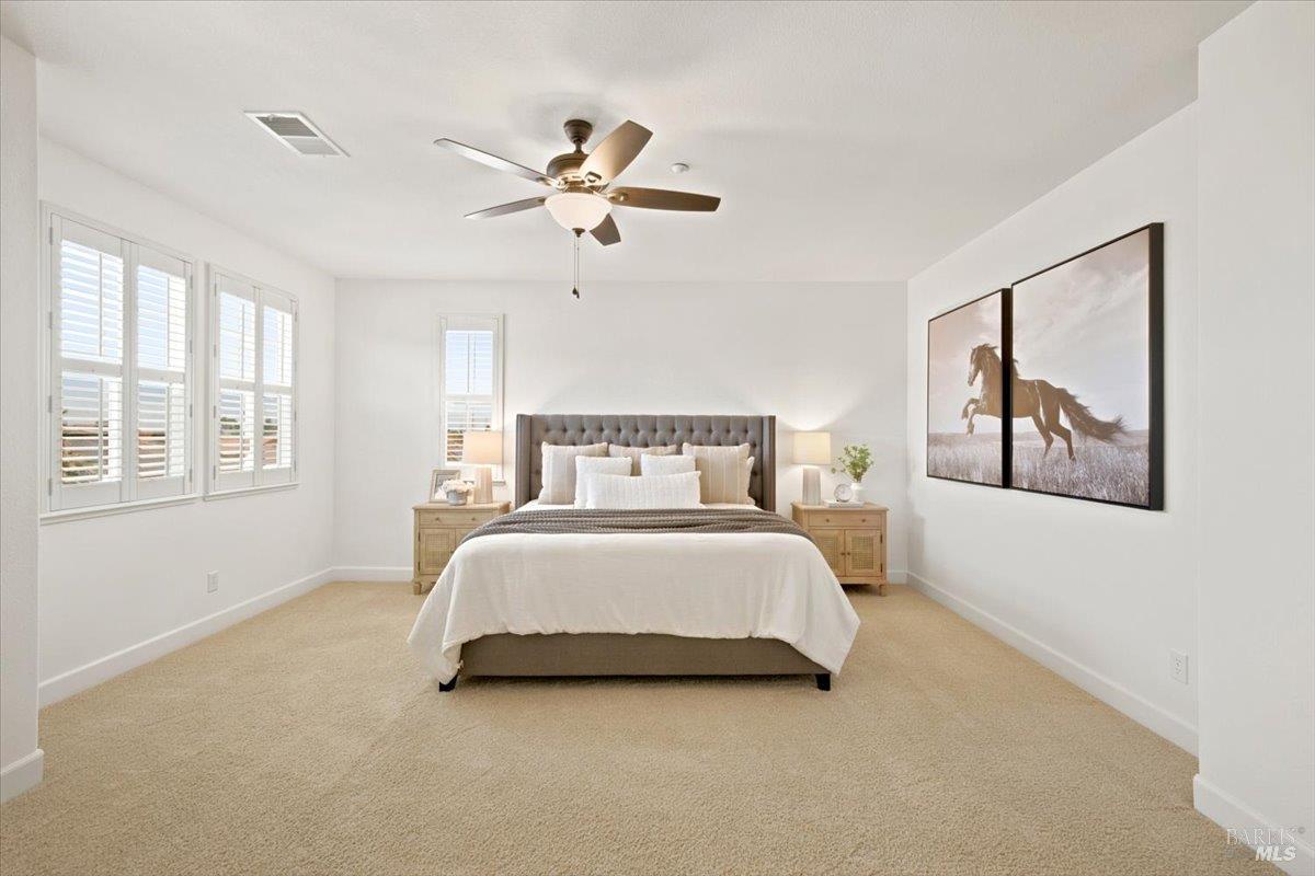306 Shining Horse Way