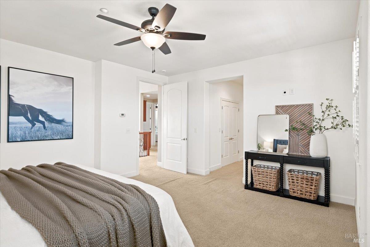 306 Shining Horse Way