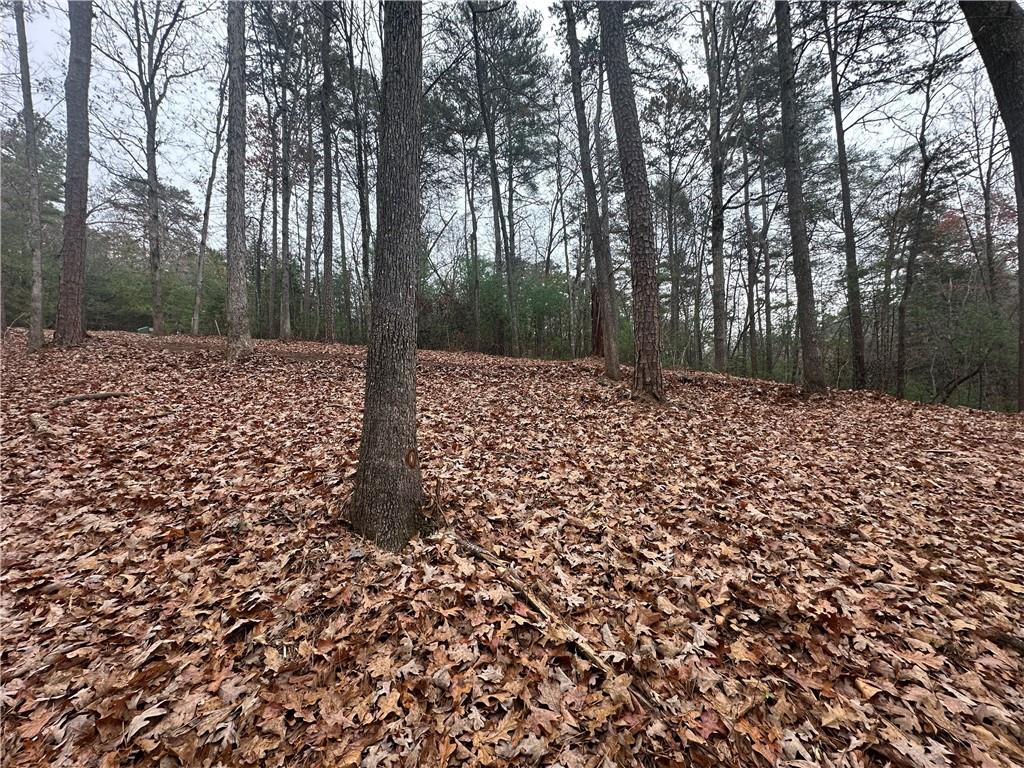 0 Roaring Forks Lane