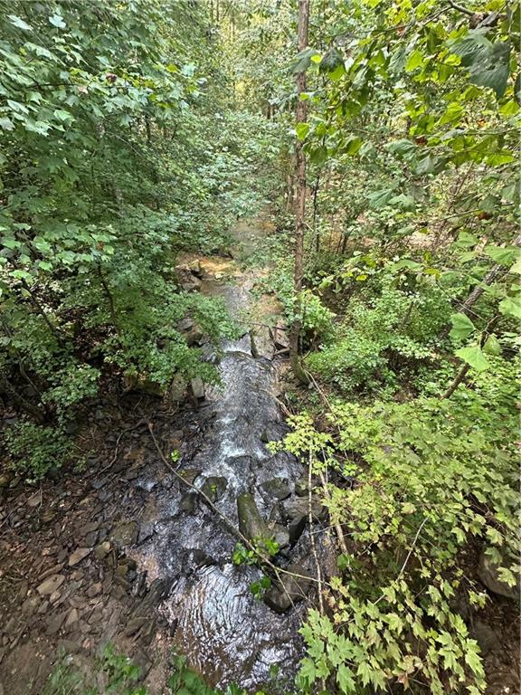 0 Roaring Forks Lane