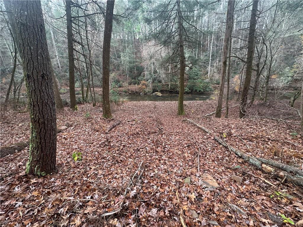 0 Roaring Forks Lane