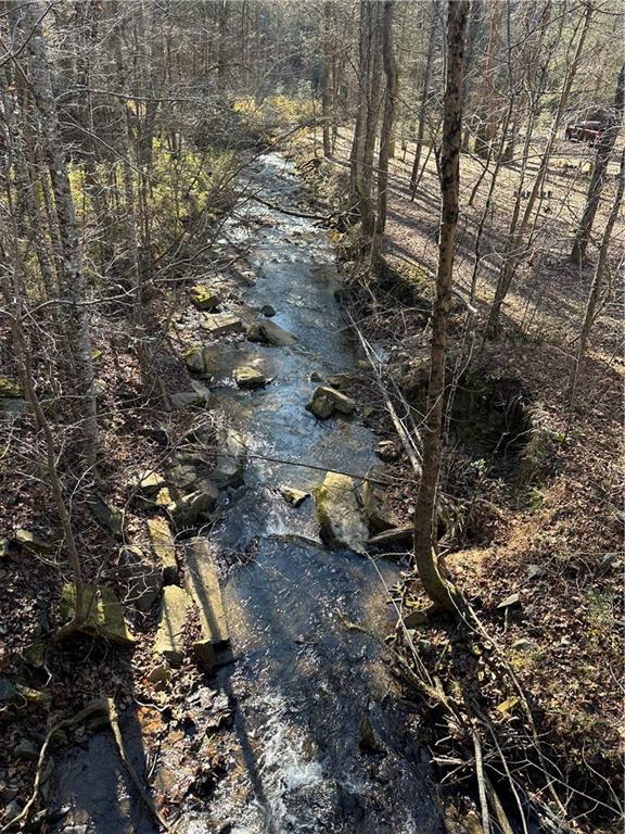 0 Roaring Forks Lane